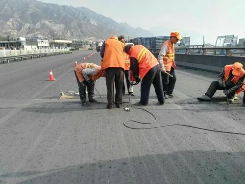 平塘道路桥梁病害治理